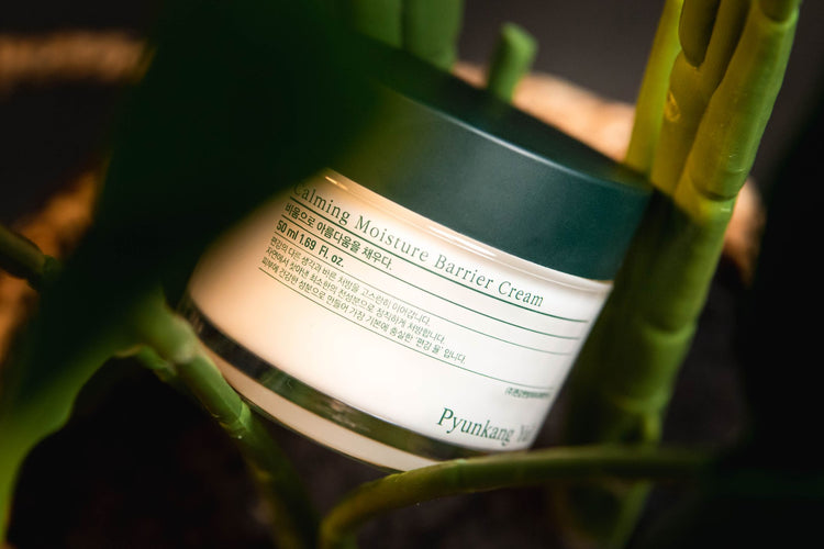 Close-up of a skincare cream jar surrounded by bamboo, highlighting cosmeceutical beauty.